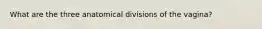 What are the three anatomical divisions of the vagina?
