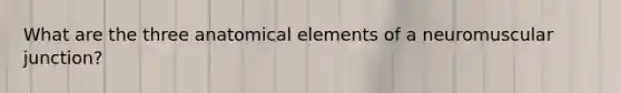 What are the three anatomical elements of a neuromuscular junction?