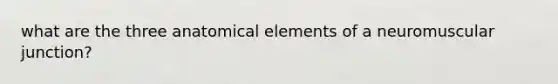 what are the three anatomical elements of a neuromuscular junction?