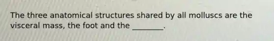 The three anatomical structures shared by all molluscs are the visceral mass, the foot and the ________.