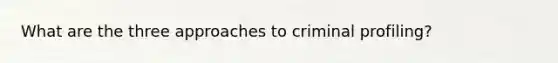 What are the three approaches to criminal profiling?