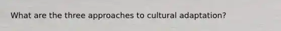 What are the three approaches to cultural adaptation?