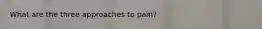 What are the three approaches to pain?