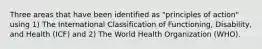 Three areas that have been identified as "principles of action" using 1) The International Classification of Functioning, Disability, and Health (ICF) and 2) The World Health Organization (WHO).