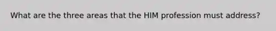 What are the three areas that the HIM profession must address?