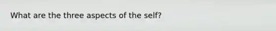 What are the three aspects of the self?