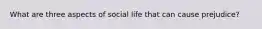 What are three aspects of social life that can cause prejudice?