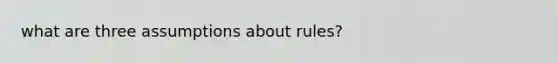 what are three assumptions about rules?