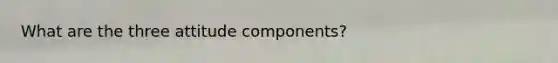 What are the three attitude components?