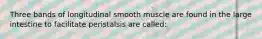 Three bands of longitudinal smooth muscle are found in the large intestine to facilitate peristalsis are called: