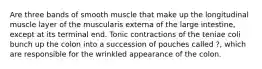 Are three bands of smooth muscle that make up the longitudinal muscle layer of the muscularis externa of the large intestine, except at its terminal end. Tonic contractions of the teniae coli bunch up the colon into a succession of pouches called ?, which are responsible for the wrinkled appearance of the colon.