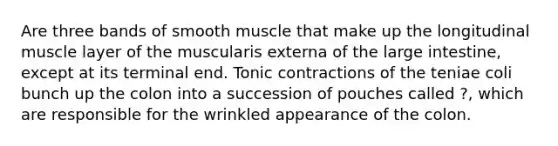 Are three bands of smooth muscle that make up the longitudinal muscle layer of the muscularis externa of the <a href='https://www.questionai.com/knowledge/kGQjby07OK-large-intestine' class='anchor-knowledge'>large intestine</a>, except at its terminal end. Tonic contractions of the teniae coli bunch up the colon into a succession of pouches called ?, which are responsible for the wrinkled appearance of the colon.