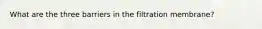 What are the three barriers in the filtration membrane?