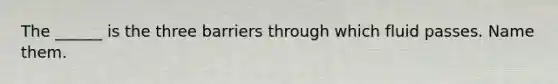 The ______ is the three barriers through which fluid passes. Name them.