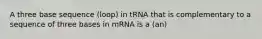 A three base sequence (loop) in tRNA that is complementary to a sequence of three bases in mRNA is a (an)