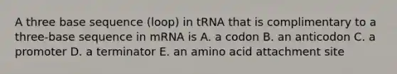 A three base sequence (loop) in tRNA that is complimentary to a three-base sequence in mRNA is A. a codon B. an anticodon C. a promoter D. a terminator E. an amino acid attachment site