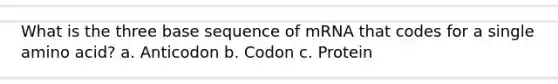 What is the three base sequence of mRNA that codes for a single amino acid? a. Anticodon b. Codon c. Protein