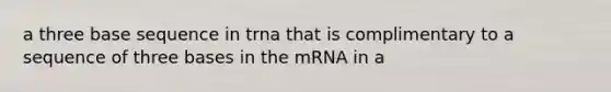 a three base sequence in trna that is complimentary to a sequence of three bases in the mRNA in a