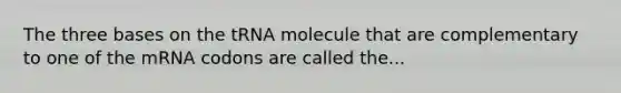 The three bases on the tRNA molecule that are complementary to one of the mRNA codons are called the...