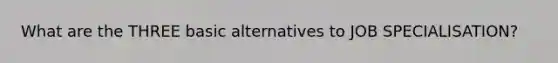 What are the THREE basic alternatives to JOB SPECIALISATION?