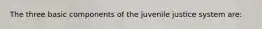 The three basic components of the juvenile justice system are: