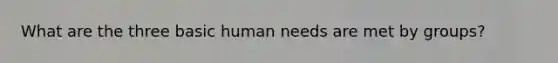 What are the three basic human needs are met by groups?