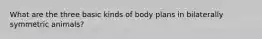 What are the three basic kinds of body plans in bilaterally symmetric animals?