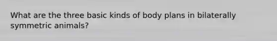 What are the three basic kinds of body plans in bilaterally symmetric animals?