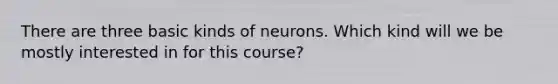 There are three basic kinds of neurons. Which kind will we be mostly interested in for this course?