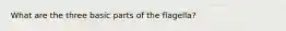 What are the three basic parts of the flagella?