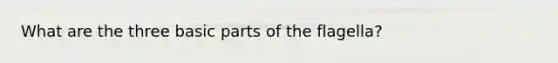 What are the three basic parts of the flagella?