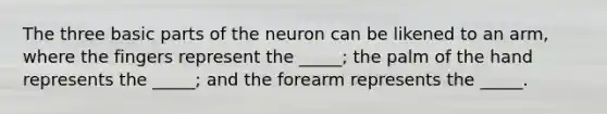 The three basic parts of the neuron can be likened to an arm, where the fingers represent the _____; the palm of the hand represents the _____; and the forearm represents the _____.