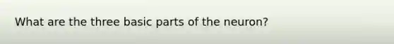 What are the three basic parts of the neuron?