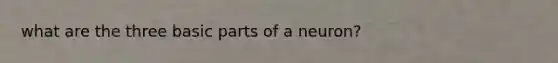 what are the three basic parts of a neuron?