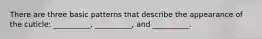 There are three basic patterns that describe the appearance of the cuticle: __________, __________, and __________.