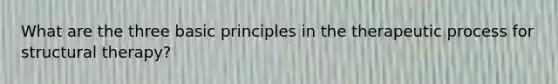 What are the three basic principles in the therapeutic process for structural therapy?