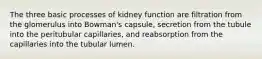 The three basic processes of kidney function are filtration from the glomerulus into Bowman's capsule, secretion from the tubule into the peritubular capillaries, and reabsorption from the capillaries into the tubular lumen.