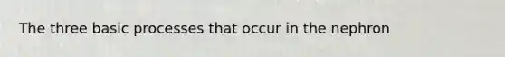 The three basic processes that occur in the nephron
