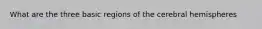 What are the three basic regions of the cerebral hemispheres