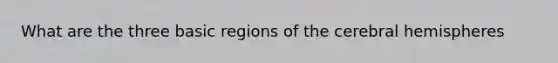 What are the three basic regions of the cerebral hemispheres