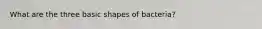 What are the three basic shapes of bacteria?