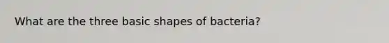 What are the three basic shapes of bacteria?