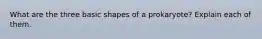 What are the three basic shapes of a prokaryote? Explain each of them.
