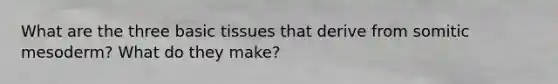 What are the three basic tissues that derive from somitic mesoderm? What do they make?
