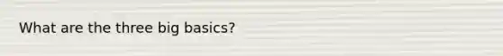 What are the three big basics?