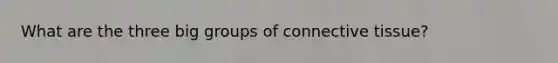 What are the three big groups of connective tissue?