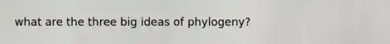 what are the three big ideas of phylogeny?