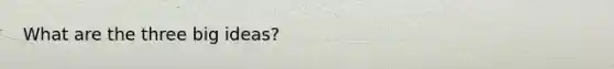 What are the three big ideas?