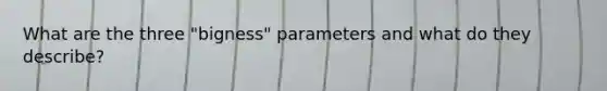 What are the three "bigness" parameters and what do they describe?