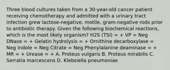 Three blood cultures taken from a 30-year-old cancer patient receiving chemotherapy and admitted with a urinary tract infection grew lactose-negative, motile, gram-negative rods prior to antibiotic therapy. Given the following biochemical reactions, which is the most likely organism? H2S (TSI) = + VP = Neg DNase = + Gelatin hydrolysis = + Ornithine decarboxylase = Neg Indole = Neg Citrate = Neg Phenylalanine deaminase = + MR = + Urease = + A. Proteus vulgaris B. Proteus mirabilis C. Serratia marcescens D. Klebsiella pneumoniae